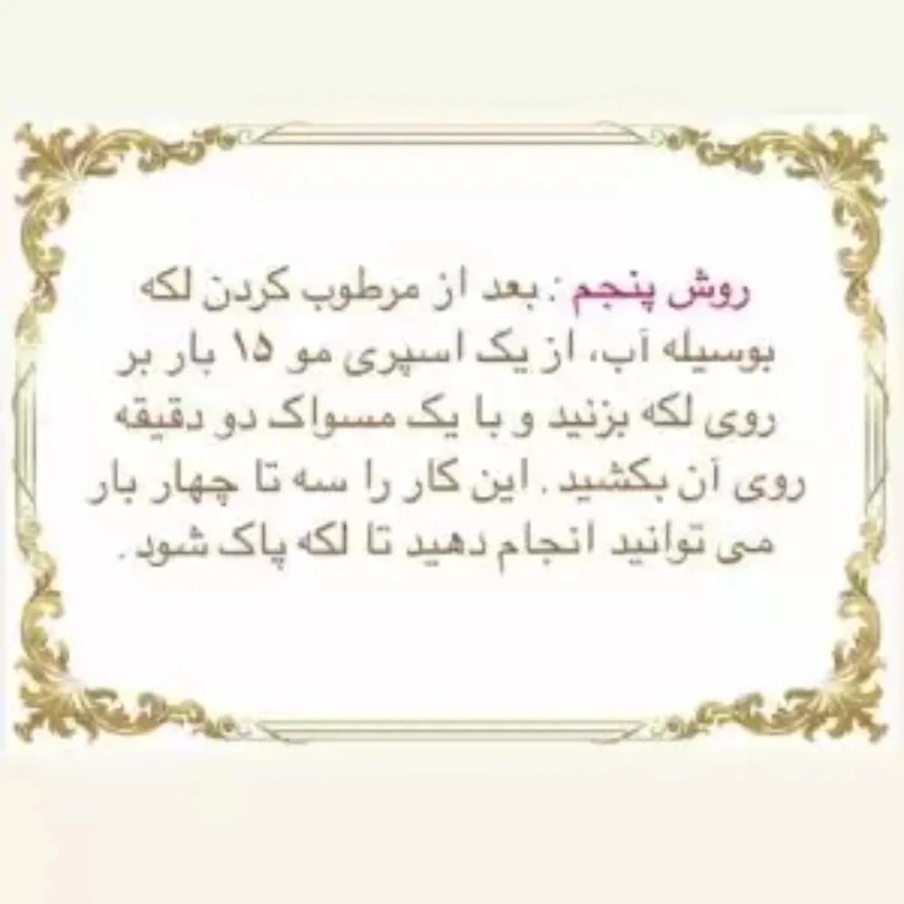 1744873435015.webp