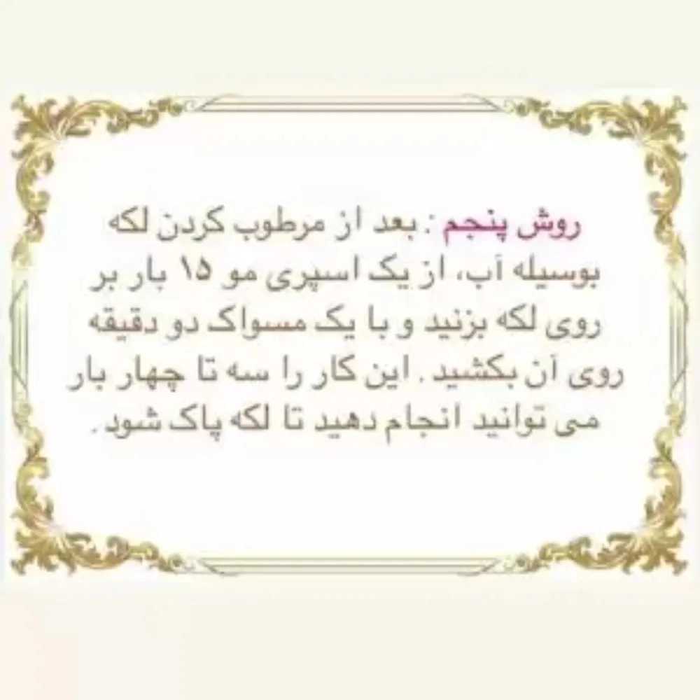 1744873435015.webp