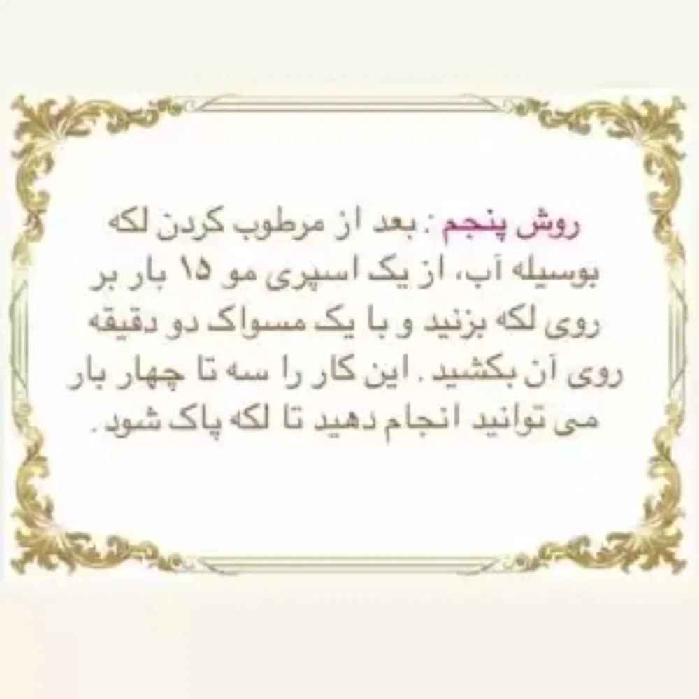 1744873435015.webp 1744873435015.webp
